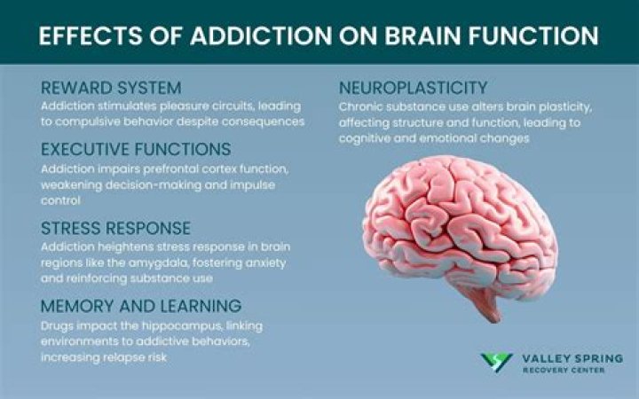 Can an EMP affect the brain?