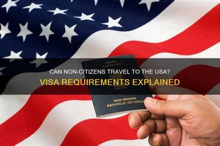 Can non citizens work visa?