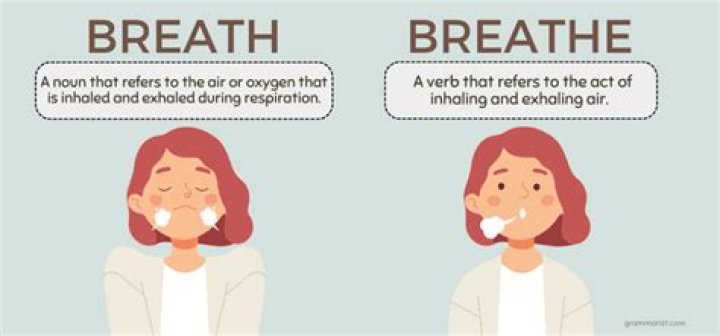 Do bees like human breath?