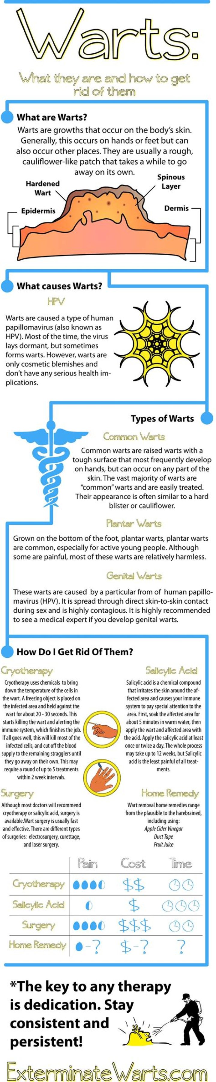 Do warts have a core?