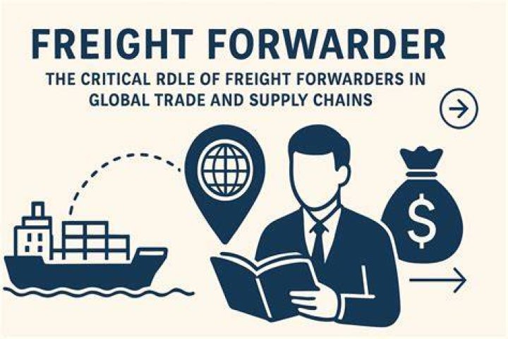 Does a freight forwarder need a college degree?