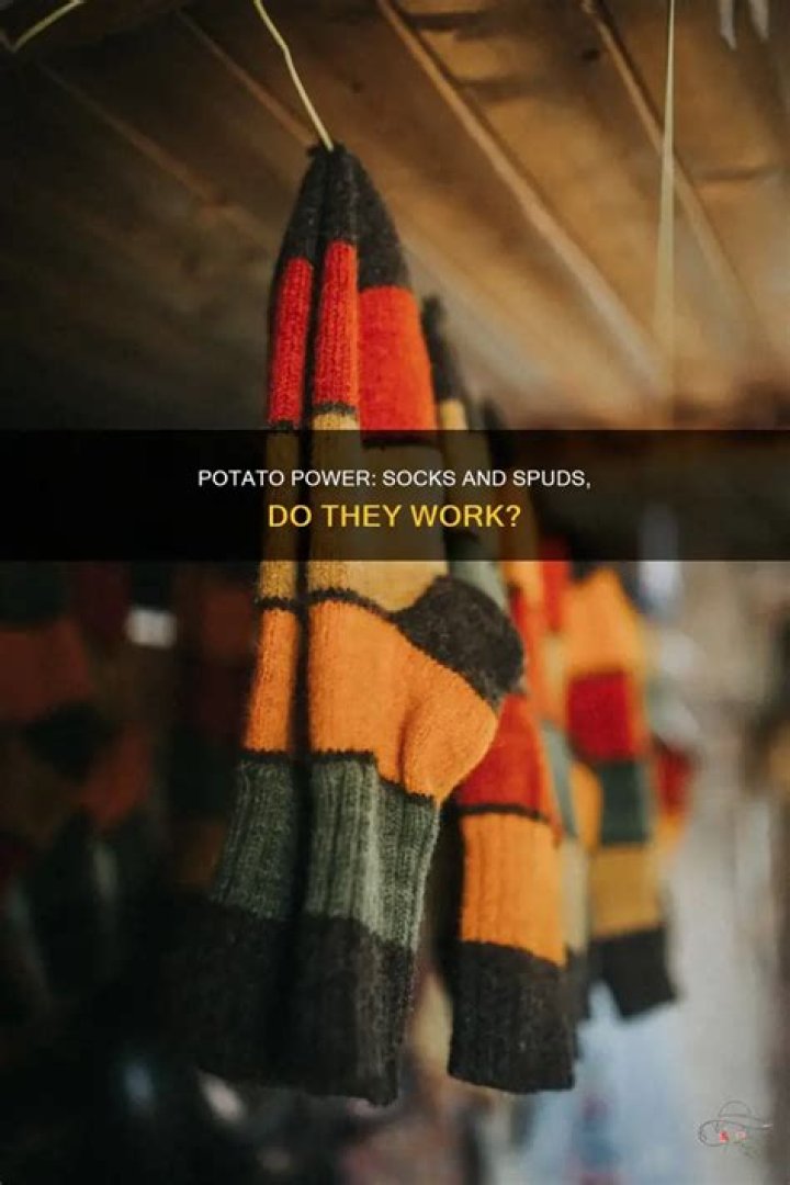 Does putting potato in your socks work?