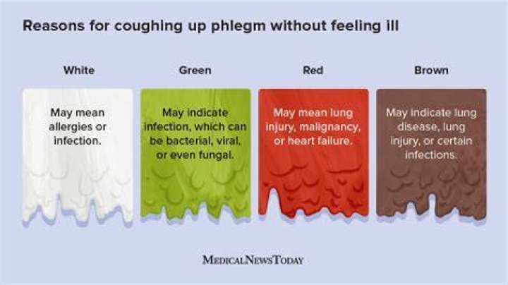 How can I prevent phlegm?