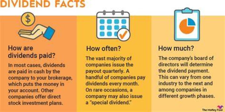 How do I get a dividend report?