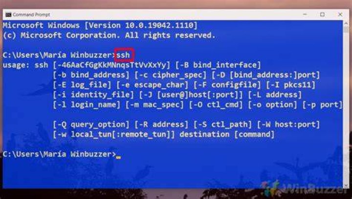 How do I SSH into a server in Windows?