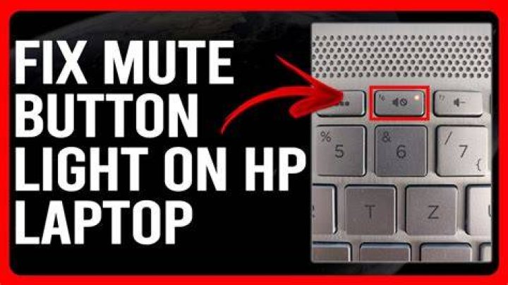 What does the mute button look like?