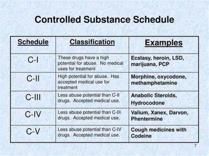 What is a Schedule E vs Schedule C?