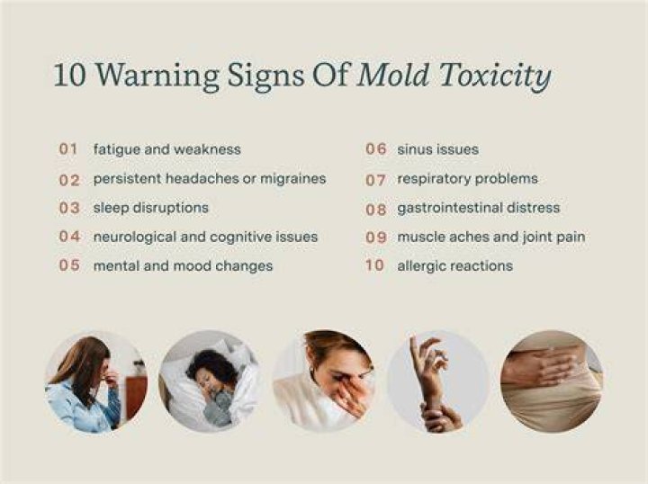 What is mold rage?
